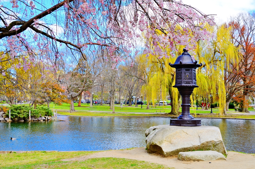Lagoon at Boston Public Garden in Boston, Massachusetts, USA