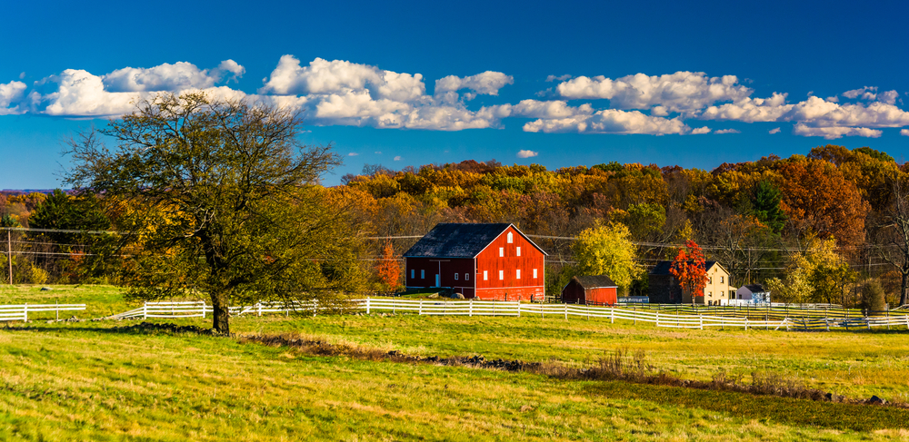 Tree and barn in Gettysburg, Pennsylvania