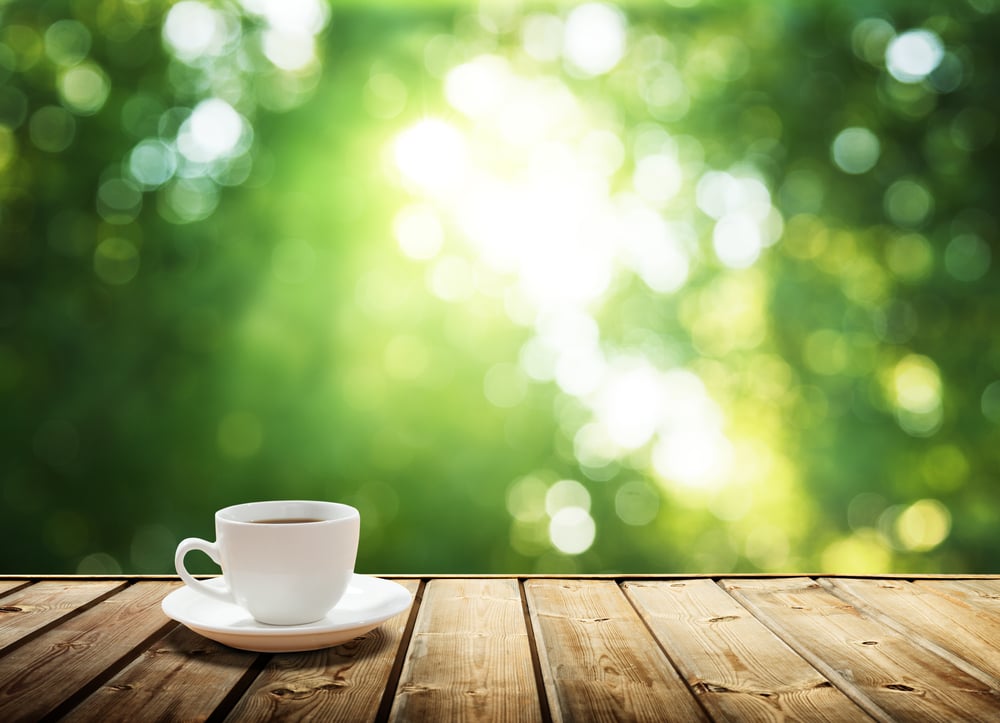 coffee cup in front of sunny trees